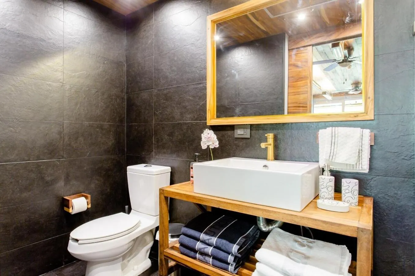 Apartment 38Th St, Most Beautiful In Playa Steps To Beach Playa del Carmen