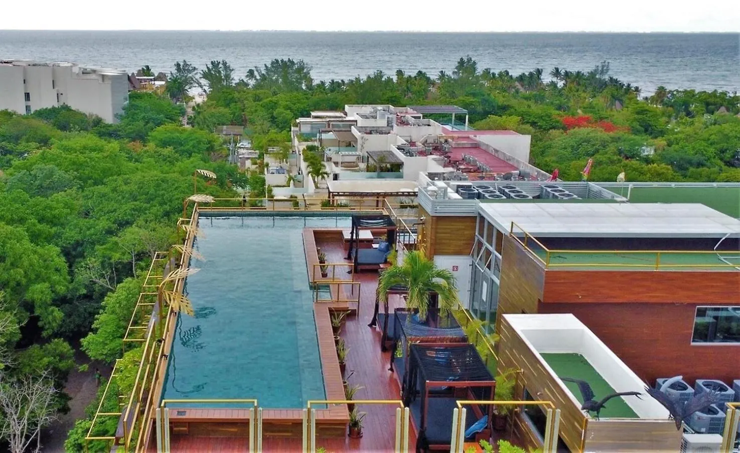 Apartment 38Th St, Most Beautiful In Playa Steps To Beach Playa del Carmen