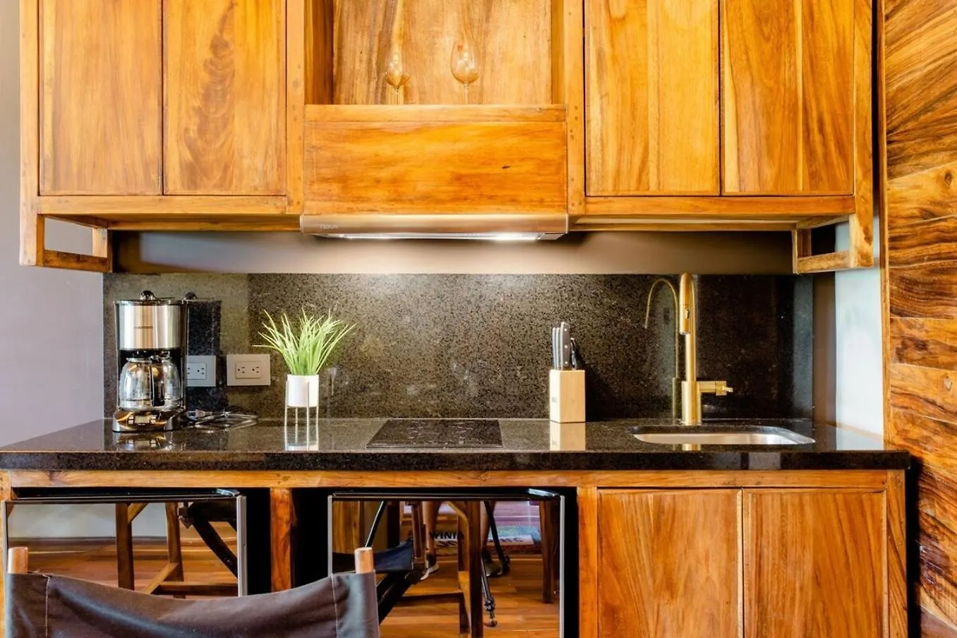 Apartment 38Th St, Most Beautiful In Playa Steps To Beach Playa del Carmen